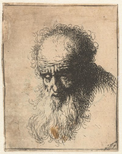 Busto de un anciano con barba poblada: la cabeza inclinada hacia delante: hombro izquierdo sin sombrear de James Bretherton