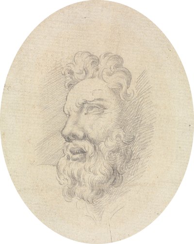 Cabeza de hombre barbudo de James Bruce