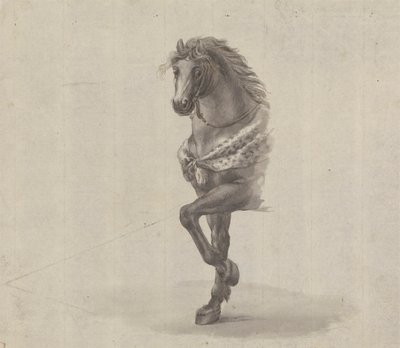 Estudio de la parte delantera de un caballo de James Bruce