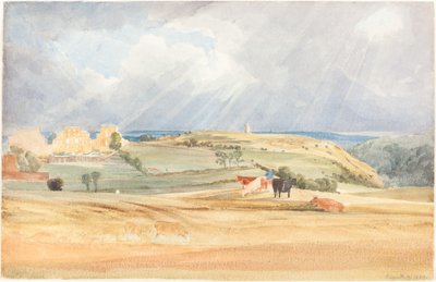 Paisaje con Ganado (¿Somerset?) de James Bulwer