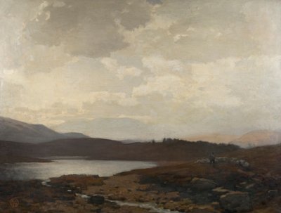 Dinnet Moor de James Cadenhead