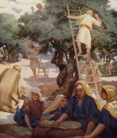 Huerto de olivos de James Clark