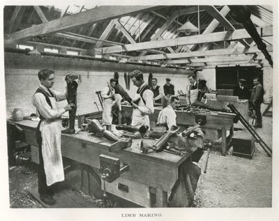 Hospital escocés Princesa Luisa para marineros y soldados sin extremidades en Erskine House de James Craig Annan