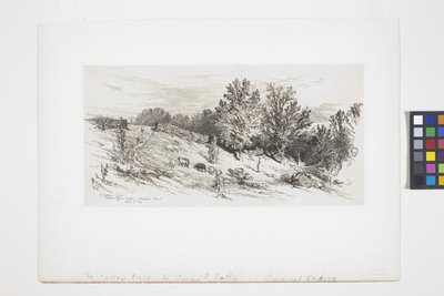 Un campo en barbecho (tinta) de James David Smillie