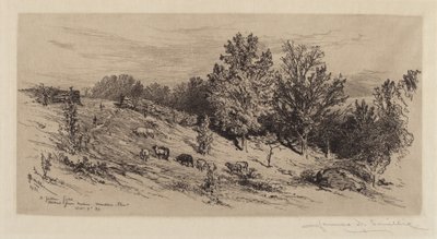 Un campo en barbecho de James David Smillie
