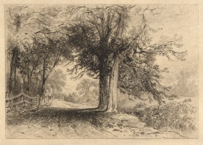 A Farm Lane, enero de 1887, Opus 2 de James David Smillie