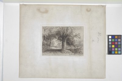 Paisaje (aguafuerte, chine collé) de James David Smillie
