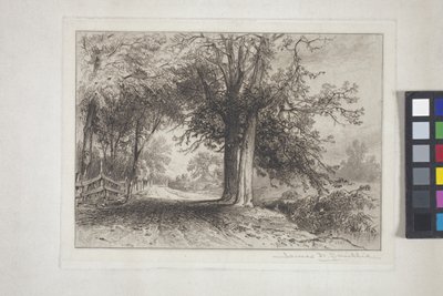 Paisaje (aguafuerte, chine collé) de James David Smillie
