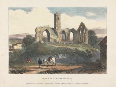 Abadía de Carrick on Suir de James Duffield Harding