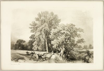 Abele y el roble, de El parque y el bosque de James Duffield Harding