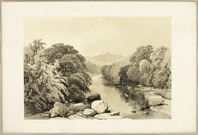 Fresno, sicomoro y roble, de El parque y el bosque de James Duffield Harding