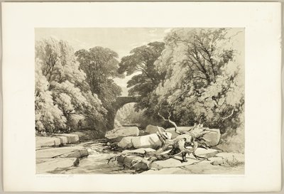 Fresno y aliso en el Greta, de El parque y el bosque de James Duffield Harding