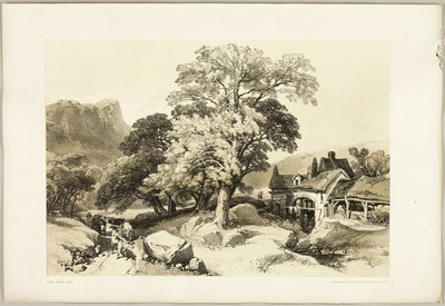 El fresno y el roble, de El parque y el bosque de James Duffield Harding