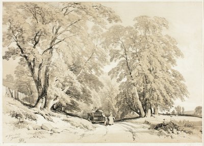 Ceniza, de El parque y el bosque de James Duffield Harding