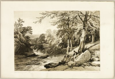 Haya y fresno en el Greta, de El parque y el bosque de James Duffield Harding