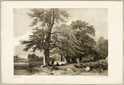 Haya, de El parque y el bosque de James Duffield Harding