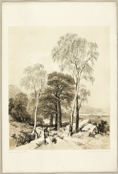 Abedul y roble, de El parque y el bosque de James Duffield Harding