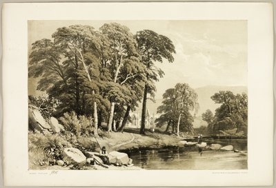 Álamo negro, de El parque y el bosque de James Duffield Harding