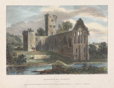 Abadía de Buttevent de James Duffield Harding