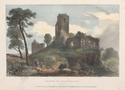 Castillo de Ballincolly de James Duffield Harding
