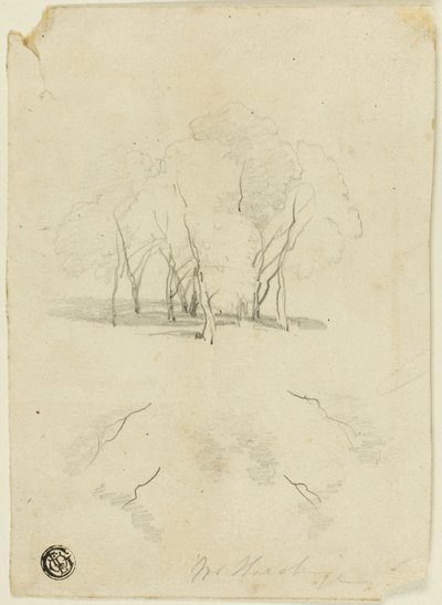 Grupo de árboles de James Duffield Harding