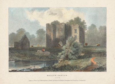 Castillo de Mallow de James Duffield Harding