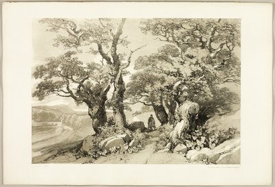 Old Oaks, de The Park and the Forest de James Duffield Harding