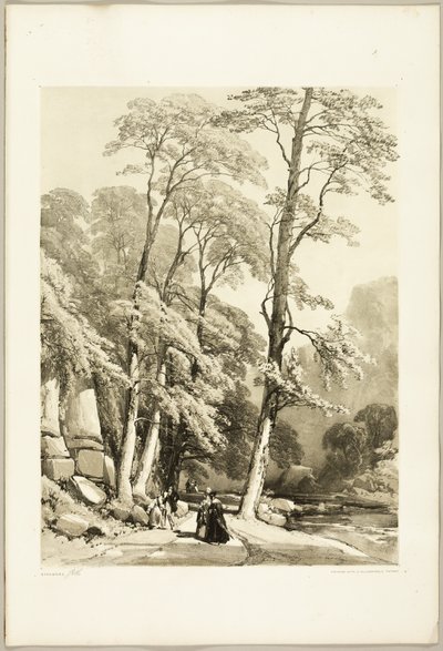 Sicomoro, de El parque y el bosque de James Duffield Harding