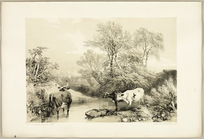 Espino, sauce, haya y abedul, de El parque y el bosque de James Duffield Harding