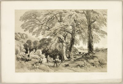 Wych Elm, de The Park and the Forest de James Duffield Harding