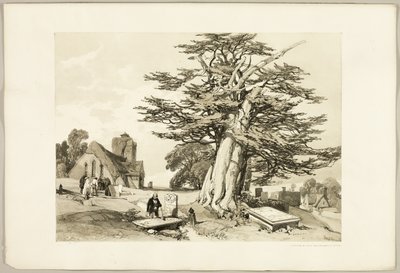 Tejo, del Parque y el Bosque de James Duffield Harding