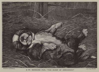 Un cachorro de San Bernardo: el sueño de la inocencia (grabado) de James E. Bourhill
