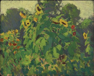 Girasoles, Thornhill, 1916 de James Edward Hervey Macdonald
