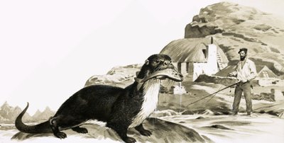 Nutria con pez y hombre pescando de James Edwin McConnell