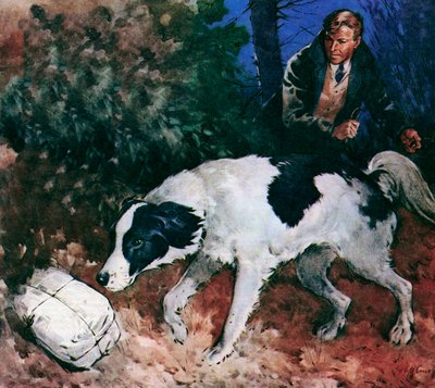 Pickles, The World Cup Dog (litografía en color) de James Edwin McConnell