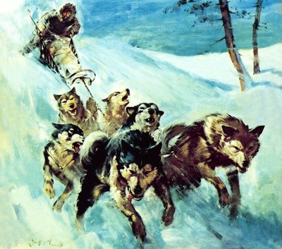 El husky canadiense de James Edwin McConnell