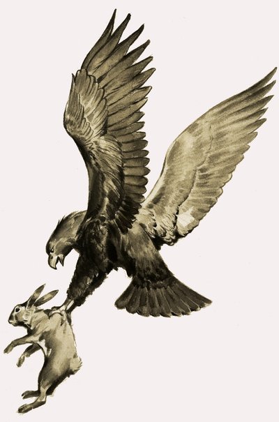 El águila y la liebre, del cuento de Esopo de James Edwin McConnell