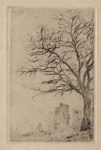 Acacia de James Ensor