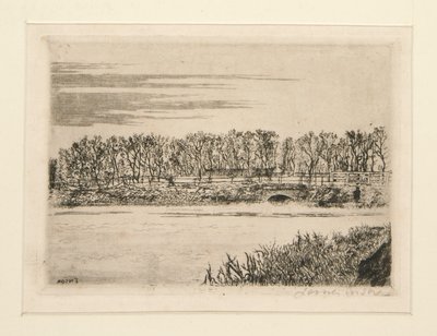 Le pont du bois? Ostende (El puente en el bosque en Ostende) de James Ensor