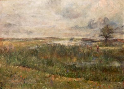 Marsh (Les Marais) de James Ensor
