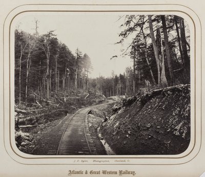 Untitled de James Fitzallen Ryder