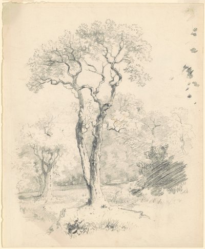 Un claro de árboles de James Goodwyn Clonney