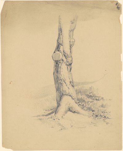 Viejo tronco de árbol de James Goodwyn Clonney