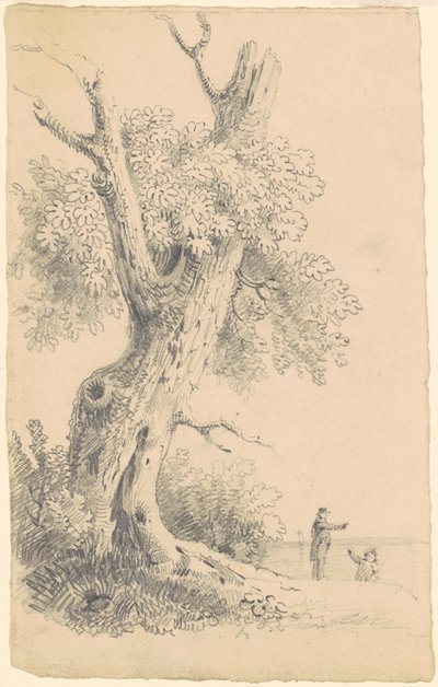 Árbol cerca de la orilla de James Goodwyn Clonney