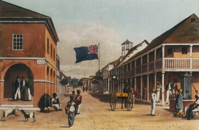 Un recorrido pintoresco por la isla de Jamaica, de dibujos realizados en los años 1820 y 1821, 1820-21 de James Hakewill