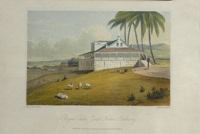 Bryan Castle, ilustración de 