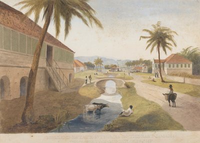 Holland Estate, Santo Tomás del Este, Jamaica [Una de ]. de James Hakewill