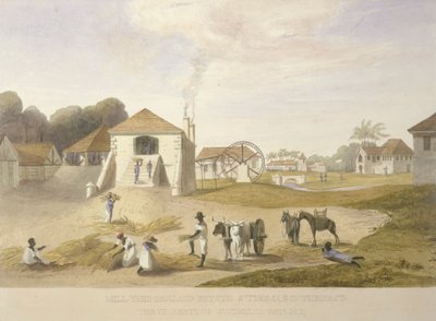 Mill Yard, Holland Estate, Santo Tomás del Este de James Hakewill