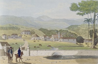Montpelier Estates, St James, de 