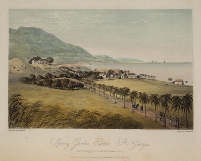 Spring Garden Estate, St George